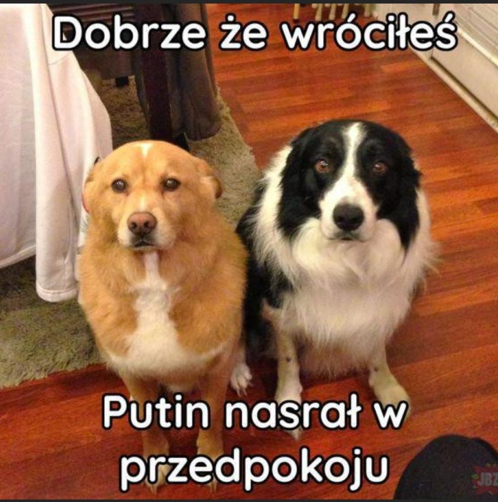 Rolnicy protestują przeciwko umowie z Mercosur, będą spowalniać ruch w całej Polsce