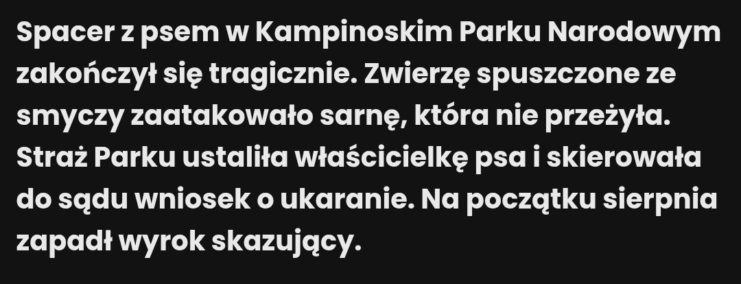 Przewodnik tatrzański przypomina, że branie psów w góry to szczyt głupoty